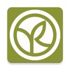 麻花视频在线观看电视剧全集播放中文版